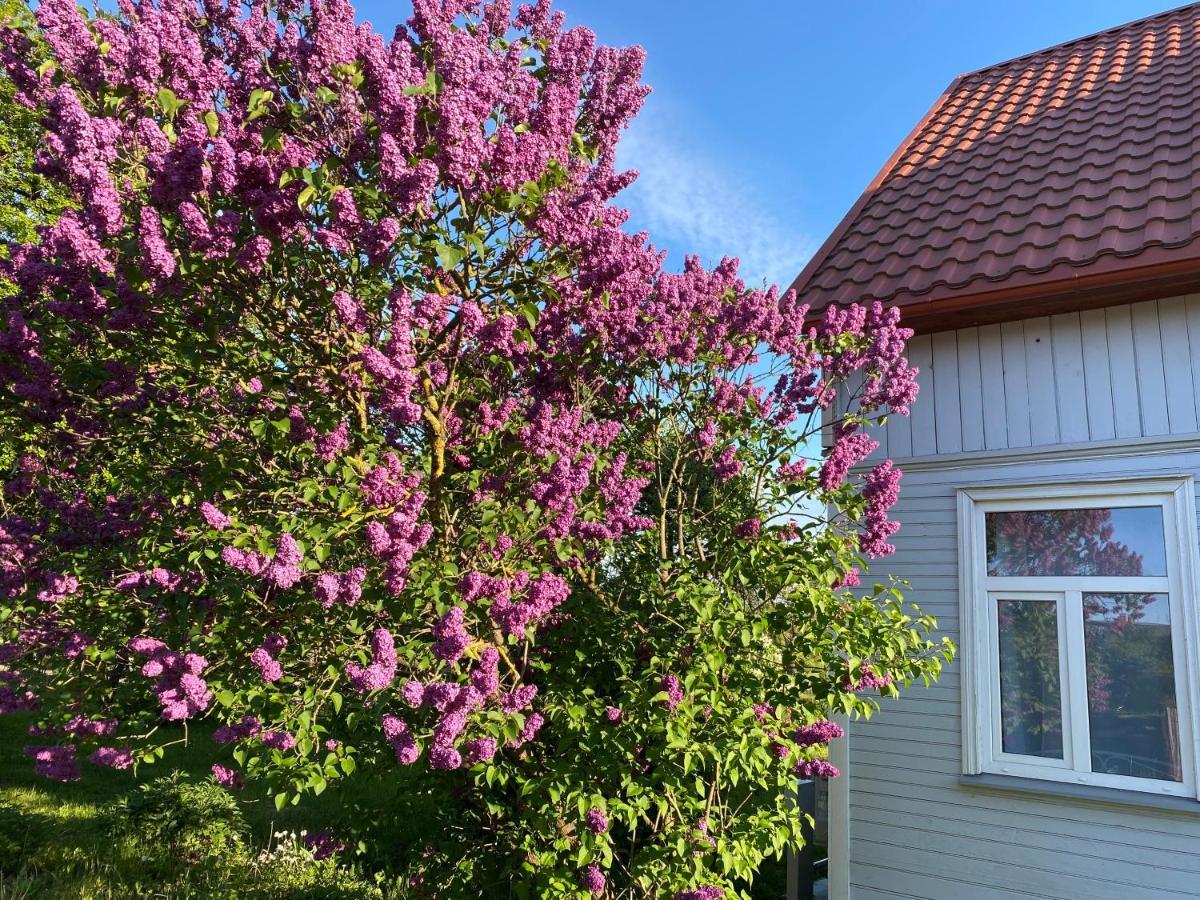 Skrunda Apartments Rustic Exterior foto